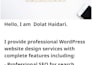 professional wordpress site with SEO and payment gateway
